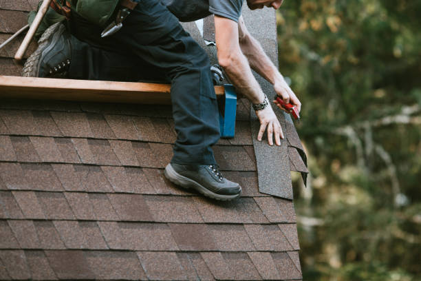 Best Emergency Roof Repair  in Ronceverte, WV